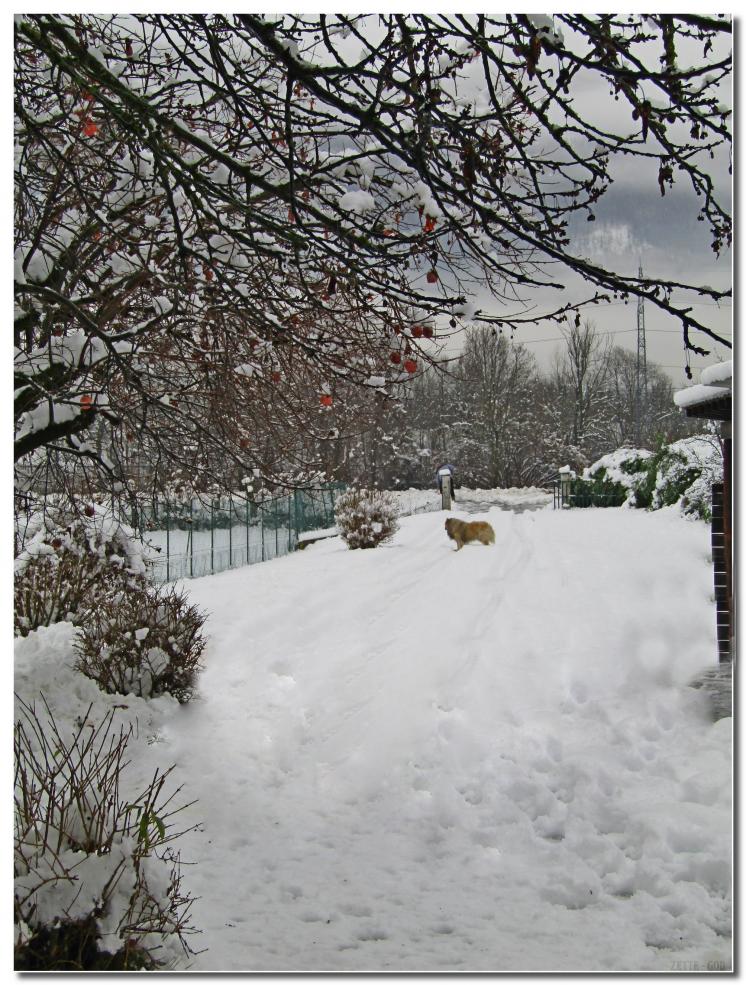 LE 13-01-2021 IL NEIGE 