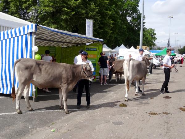 Les Journées Châtillonnaises 2015