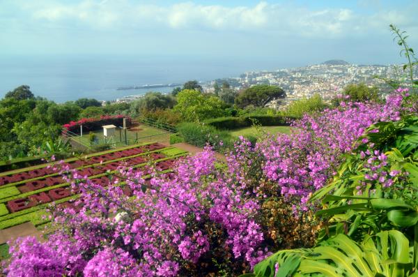 Circuit en étoile à Madère : Funchal, son marché et son jardin botanique