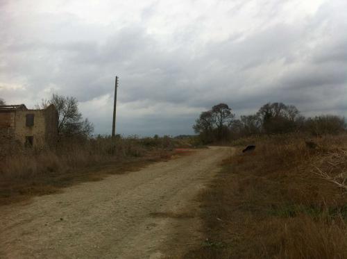 Petit mas ancien destructurée - Camargue