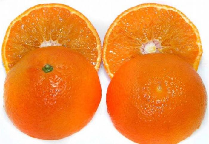 Arbre fruitier : Mandarinier