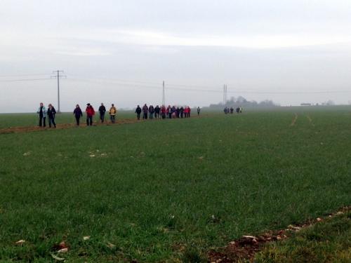 "Combe à La Serpent" - Mercredi 27 janvier 2016