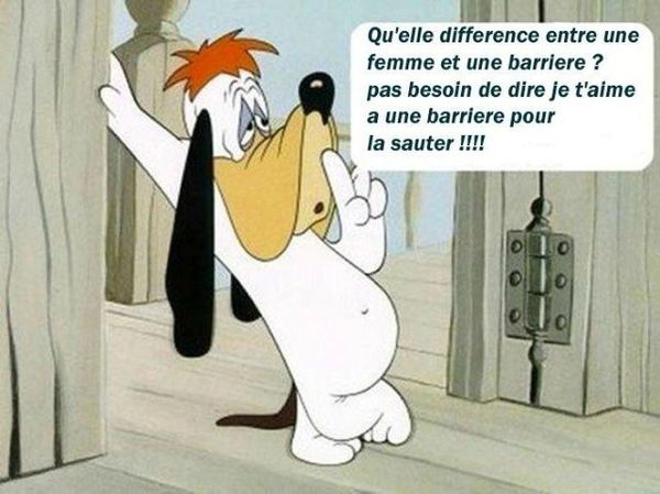 Humour du vendredi ... !!!