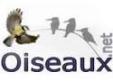 Je publie chez Oiseaux.net : Envolez vous au Pays des Oiseaux"