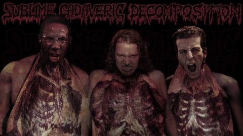 SUBLIME CADAVERIC DECOMPOSITION – "Medico-Legal Psalmody" (Lyric video)