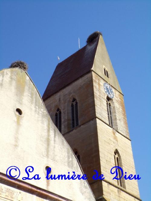 Eguisheim, l'église Saints Pierre et Paul