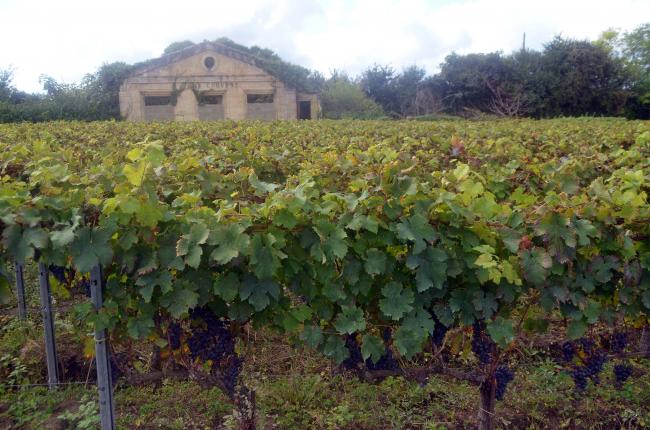 Vacances en aquitaine 6 - Visite de Saint-Emilion