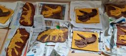 platre dinos