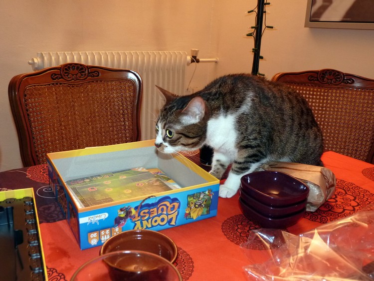 Le chat