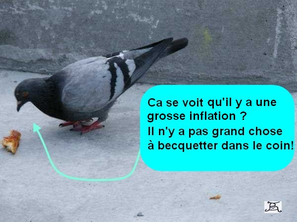 On ne rate pas l'humour du dimanche chez les "Tiot".