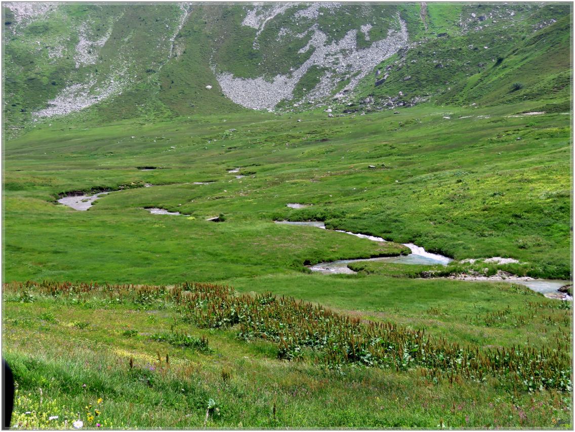ELLE  DESCEND  DE LA  MONTAGNE ?