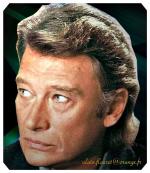 Fond ecran johnny hallyday0011