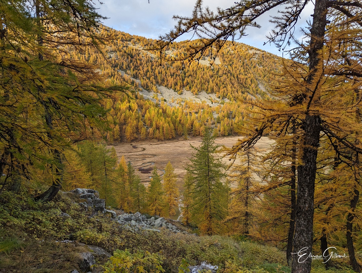 Féerie d'Automne
