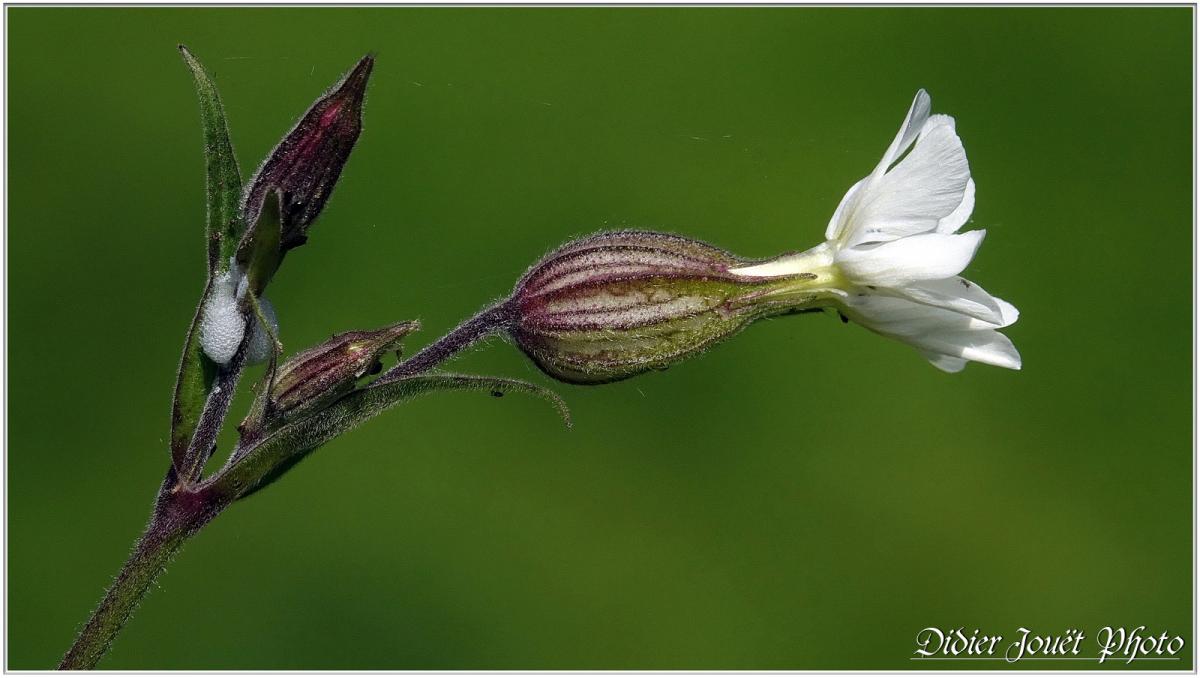 Balade / Mardi 30 Avril 2019