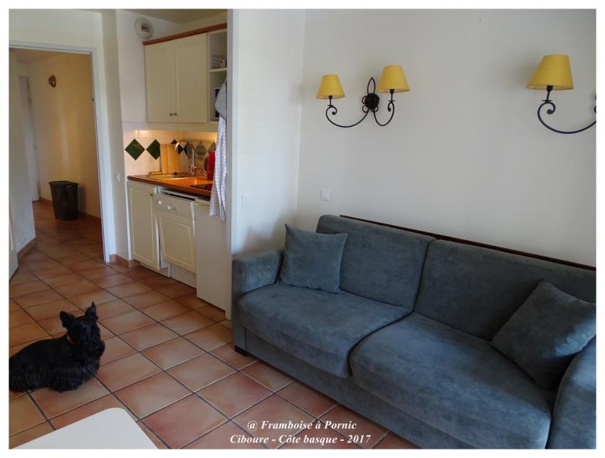 Ciboure - Côte basque - Avril 2017