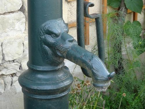 Une belle balade à Chaumont le bois et Vannaire, guidée par Anne Bouhélier