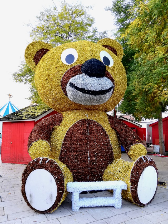 Dernier jour avant les illuminations