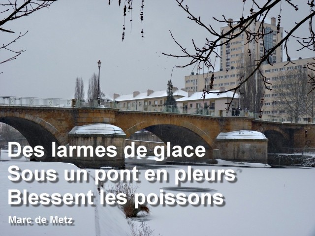 La Moselle 04 01 2010