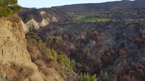 De SALAMINE à MELANGAVI