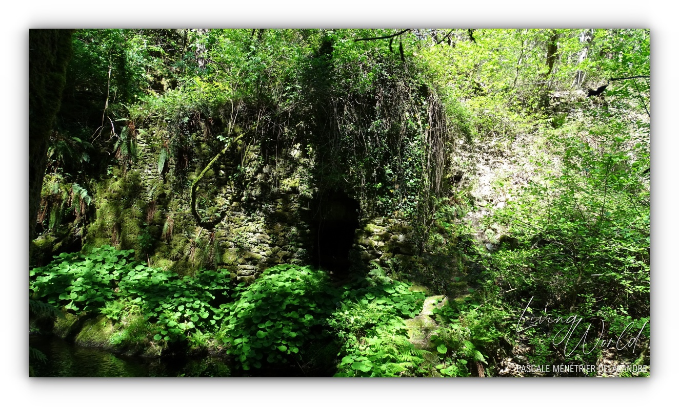 Le Rabalézain (Ruisseau de Blanaves)