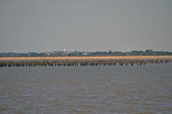 FOURAS, La Pointe de La Fumée.