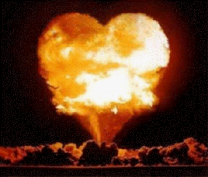 Coeur de Flammes T1 <3