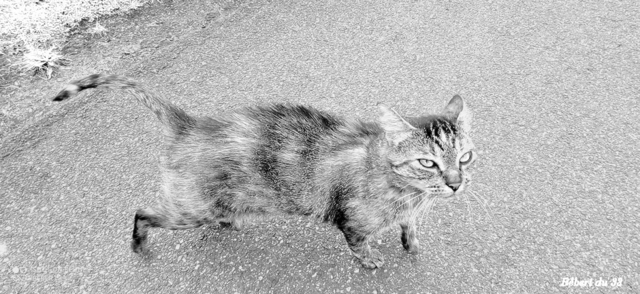 photos plaisirs des yeux
