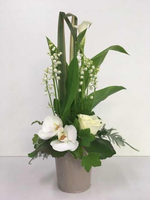 fleurs de mai