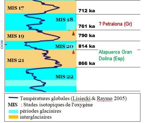 2 - Pléistocène moyen (-780 ka ) : les humains d'avant Néandertal
