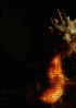 Gif_012.gif
