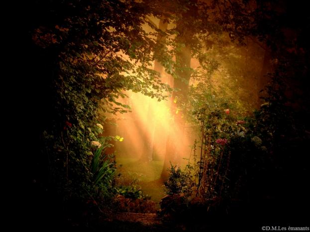 Le paradis L'expérience incroyable du Dr Eben Alexander