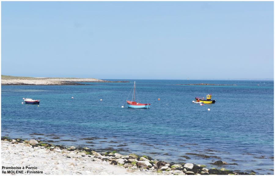 Ile de Molène 