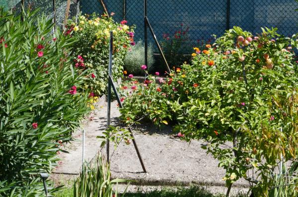 Travaux de jardinage