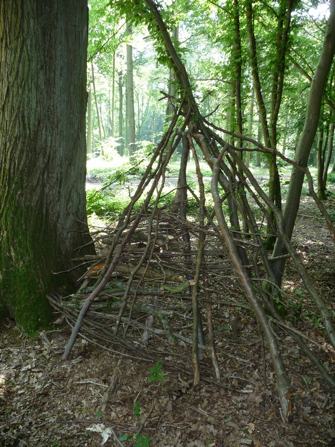 A l'ombre de la Forêt Domaniale de Creuse