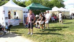 Festival du Printemps à Verrières en Anjou 03/06/18