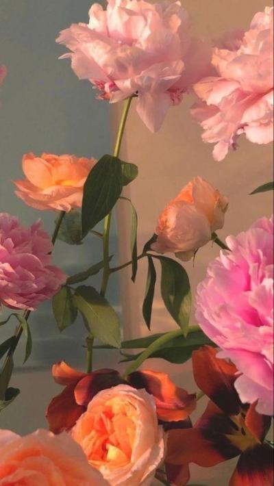 Fonds fleurs