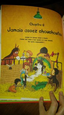 Tout sur le cheval... et le reste