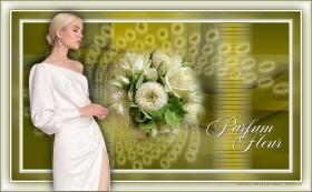 Tutoriels de Ana María C