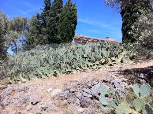 Un nouveau lotissement dans les cartons au Pont de l'Arc
