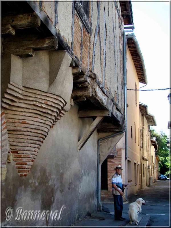 Lisle-sur-Tarn Tarn maisons à coiombages