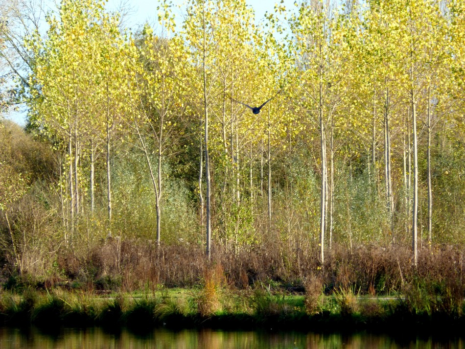 Soleil, couleurs, ne nous quittez pas !