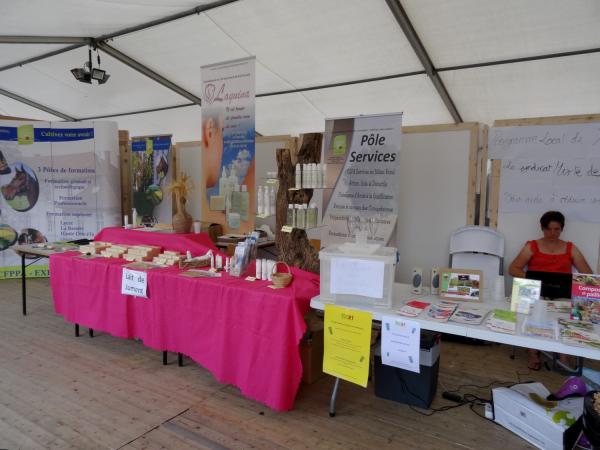 Les journées Châtillonnaises : producteurs locaux, associations, commerces, spectacles...