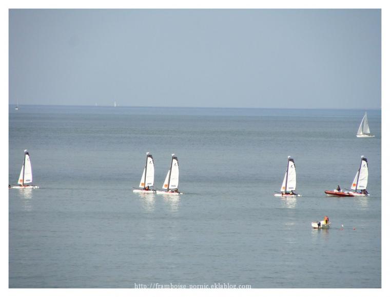 Rencontres Coques en Bois ce week end ...