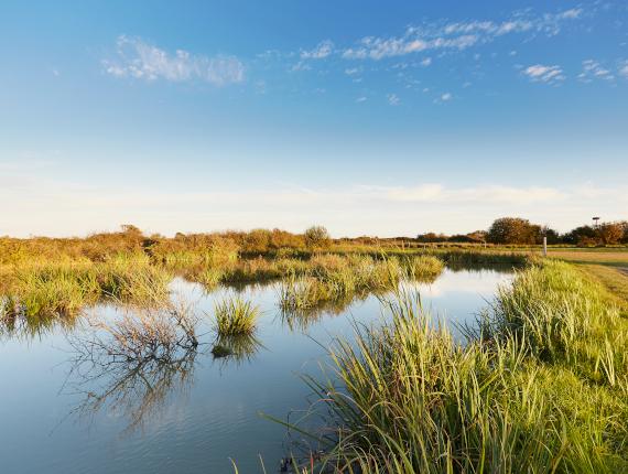 Département de la Vendée