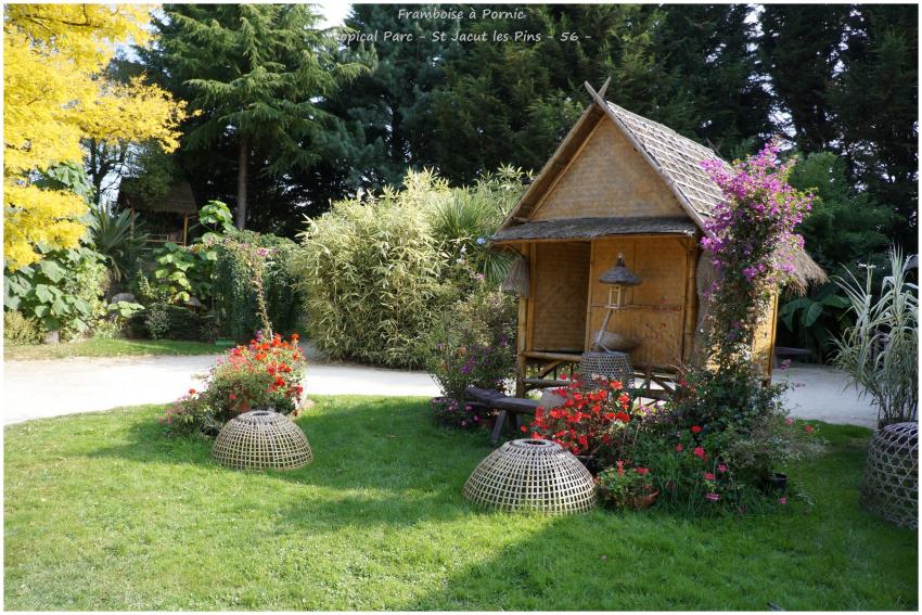 Tropical Parc St Jacut les Pins - 56 -