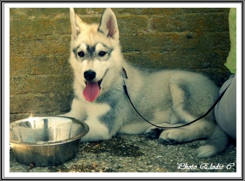 Eden (4 mois)