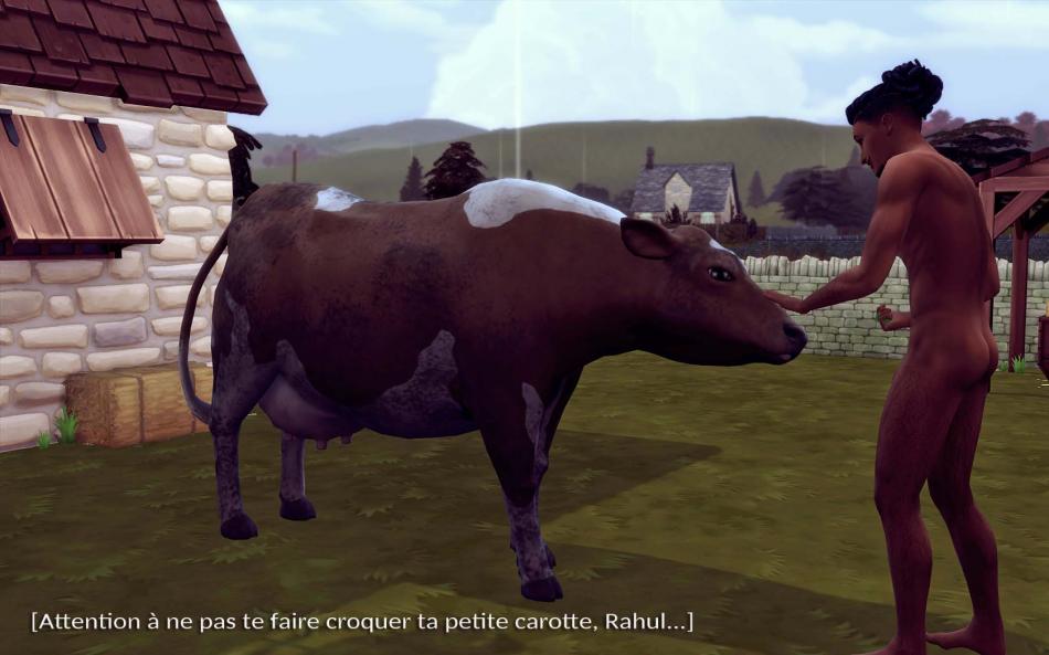 [CALF - HoB] Automne 5 - Semaine 22 - Jours 153 à 159
