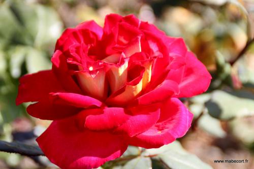 Lundi 21 au Dimanche 27.09 + Bonus