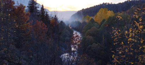 ARTVIN et la montagne 2/2