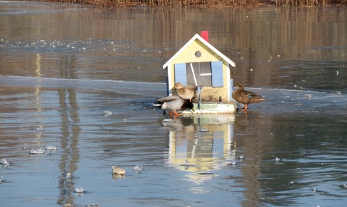 Le Châtillonnais durant les grands froids de février 2012...